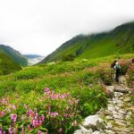 a person walking on a path with flowers